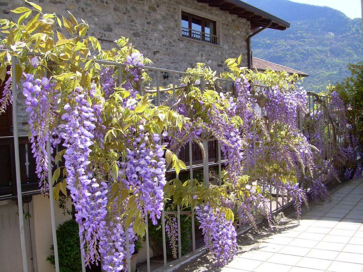 Buglio in Monte Residenza Antica Corte Villa Picta מראה חיצוני תמונה